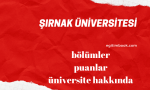 şırnak üniversitesi