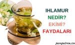 ıhlamur faydaları