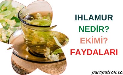 ıhlamur faydaları